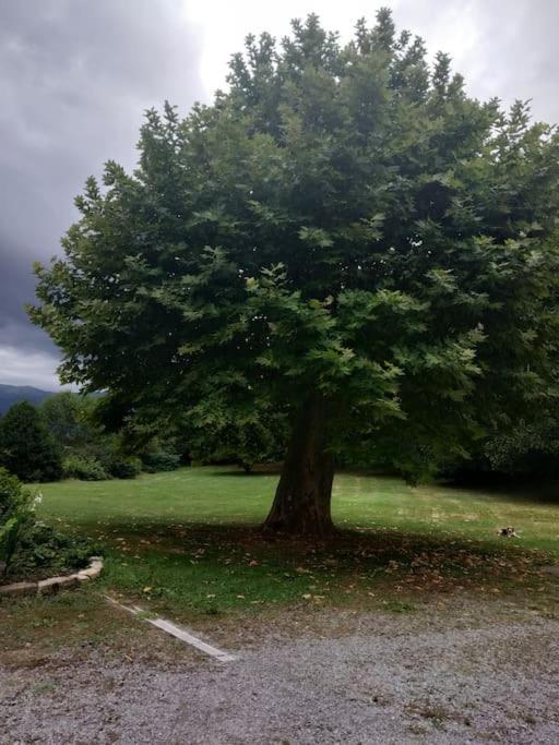 Logement Entier Dans Un Ecrin De Verdure Bidos Kültér fotó
